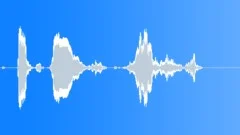 Groups American Indians Flute Shaman Hoots Warble2Sound Effect
