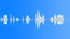 Groups American Indians Flute Shaman Song FastSound Effect