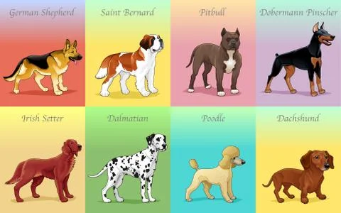 Groups of dog. Stock Illustration