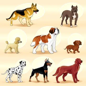 Groups of dog. Stock-Illustration