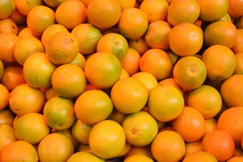 Groups of fresh oranges in the stall Stock Photos