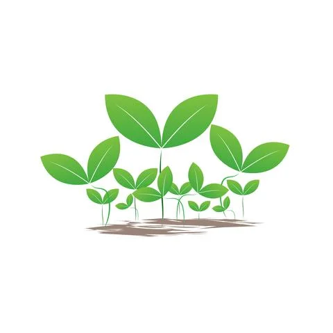 GROUPs of green seed design used in plant logo and farm items template desig Stock Illustration