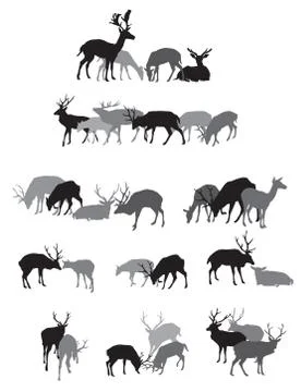Groups of isolated deers silhouettes Stock Illustration