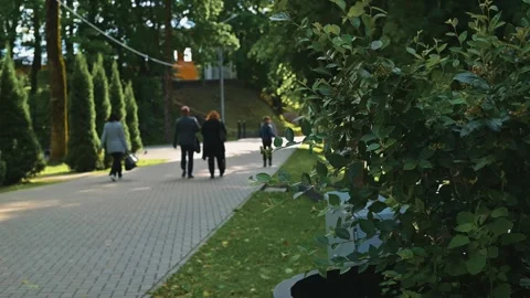 Groups of people walk along paved path in public park with bushes and trees 動画素材 344527353