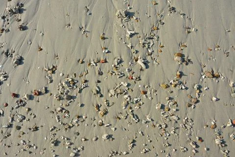 Groups of small rocks on the sand beach Stock Photos