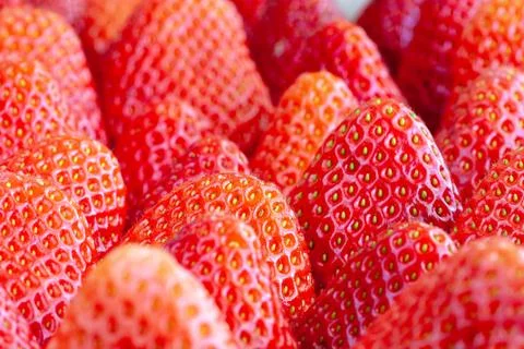 Groups of Strawberries shot close up macro depth of field Fotos de archivo