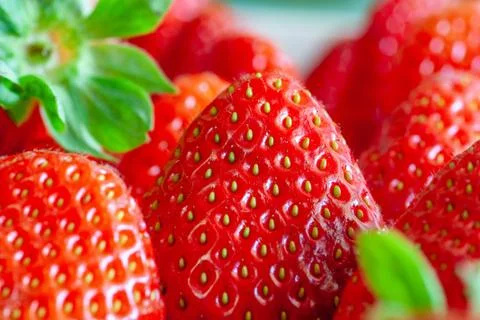 Groups of Strawberries shot close up macro depth of field green leaf 스톡 사진