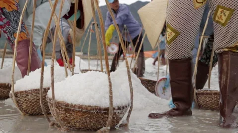 Groups of Workers Scoop Salt into Baskets Stock Footage 42397967