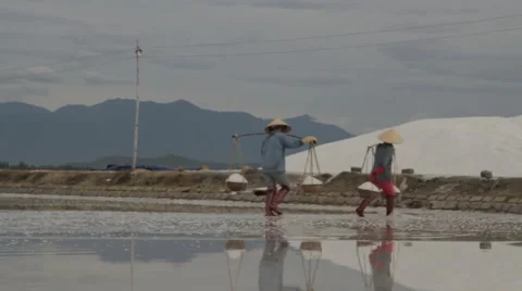 Groups of Workers Transporting Salt Stock Footage 42412379