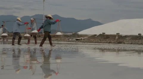 Groups of Workers Transporting Salt Stock Footage 42412626