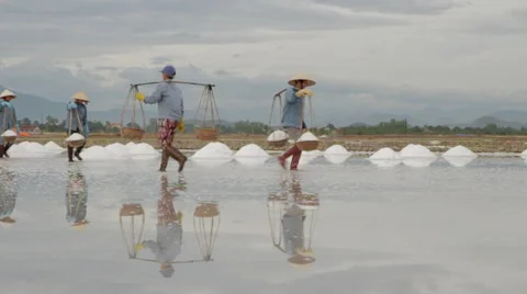 Groups of Workers Transporting Salt Stock Footage 42420287