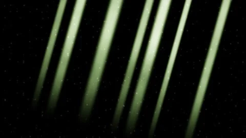 Grove Dust Light Shaft Stock Footage 342307357