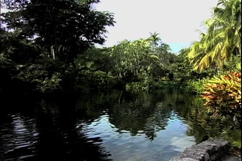 Grove-ws Stockbeeldmateriaal 817889