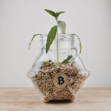 Grow bitcoin coin Stock Photos