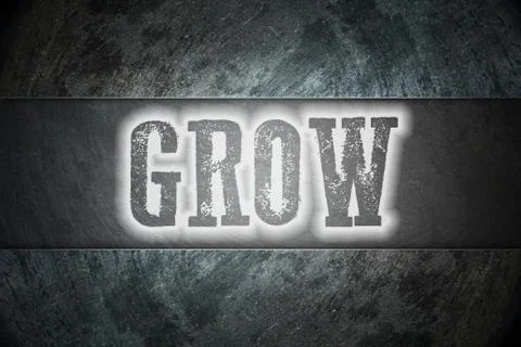 Grow concept Stockillustratie