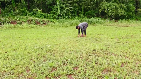 Grower cleans tool using fresh water near grass edge Stock Footage 305959656