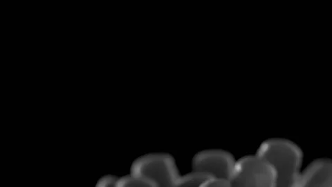 Growing abstract microorganisms. Stock-Footage 116301932