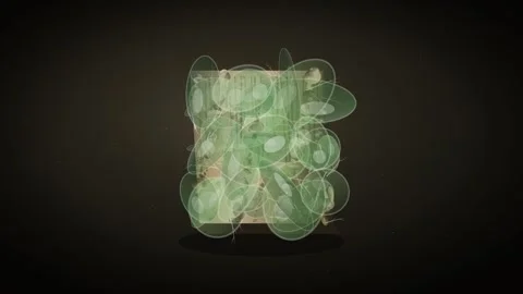 Growing Algae Closeup Loop - Sustainable Bio Packaging Cell Backdrop 動画素材 341870980