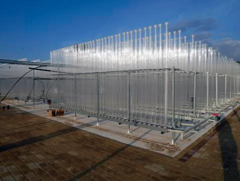 Growing algae in small bioreactors Stock Photos