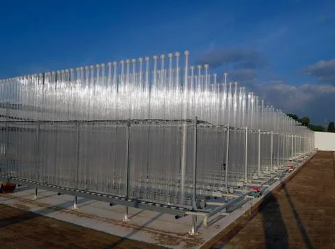 Growing algae in small bioreactors Foto stock