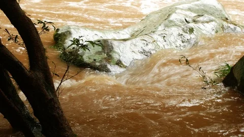 Growing Amazonian River  Stock Footage 87809258