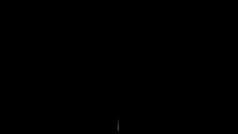 Growing Autumn Tree Animation with Alpha Channel Stock Footage 70286497
