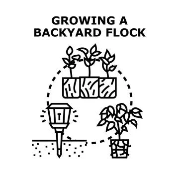 Growing a backyard flock concept vector illustration Stock Illustration