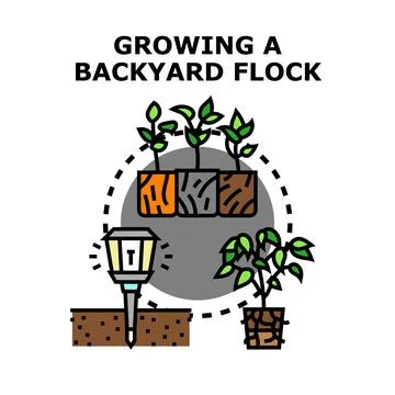 Growing a backyard flock concept vector illustration Stock Illustration
