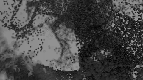 Growing Bacteria Cells 4k Vidéo 145658239