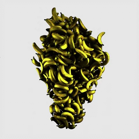 Growing Bananas Stock Footage 334802976