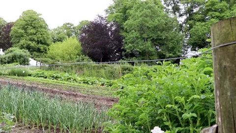 Growing bed scene moving pythouse gardens wiltshire 库存影片 137393315