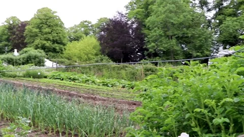 Growing beds movement left to right pythouse gardens wiltshire 스톡 동영상 137393478