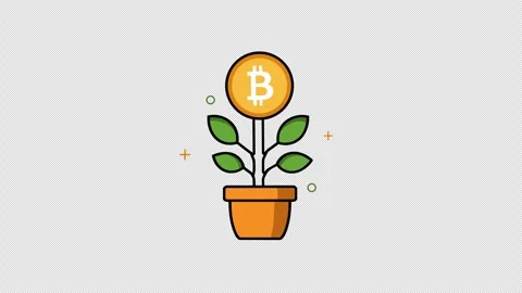 Growing Bitcoin Crypto Plant Concept Animation Stock Footage 340495868