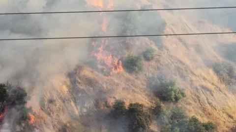  Growing Brush Fire Smoke Covers The Hill Stock Footage 247489440