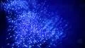Growing bunch of optical fibers. Distribution of the light signal. 4k or 4k+ Resolution