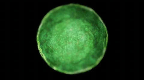 Growing Cell Stock Footage 721331