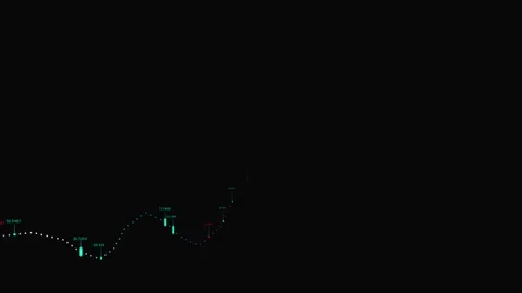 Growing charts and graphs on a black background. Stock-Footage 146531517