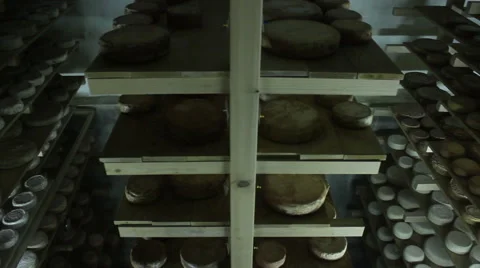 Growing cheese Stock Footage 46667808