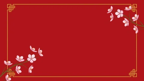 Growing Chinese styled line frame and Blooming Cherry blossom motion graphics Stock Footage 101139002