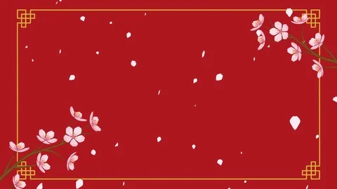 Growing Chinese styled line frame and Blooming Cherry blossom motion graphics Stock Footage 101139628