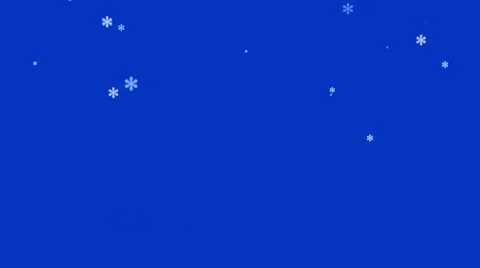 Growing Christmas tree with falling snowflakes and stars Stock Footage 55859699