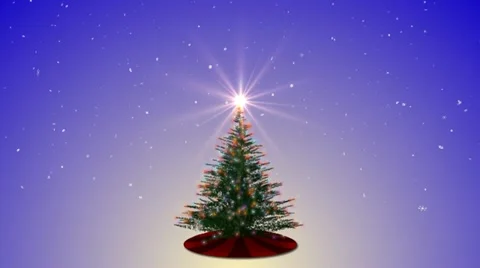 Growing Christmas Tree Stock Footage 11058649