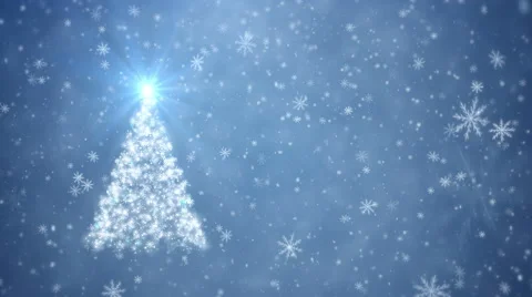Growing Christmas tree Stock Footage 56613386