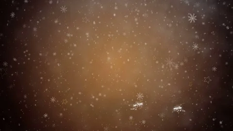 Growing Christmas tree Stock Footage 70293103