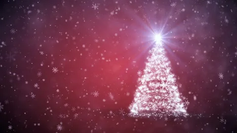 Growing Christmas tree Stock Footage 98493040