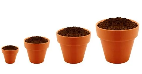 Growing concept Foto stock