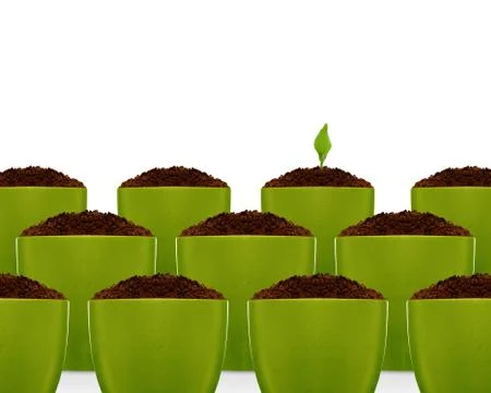 Growing concept Stock Photos