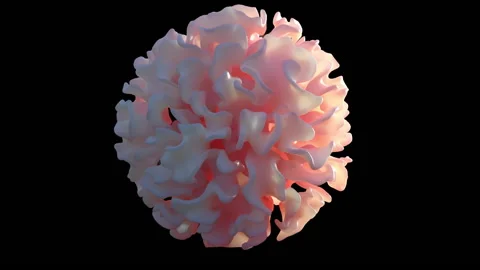 Growing coral, time-lapse simulation Stock Footage 141304016