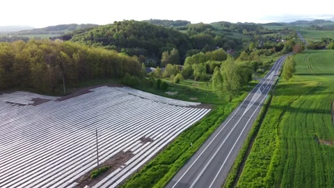 Growing corn field, shot from a drone 2 動画素材 155251911