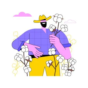 Growing cotton isolated cartoon vector illustrations. Stock Illustration